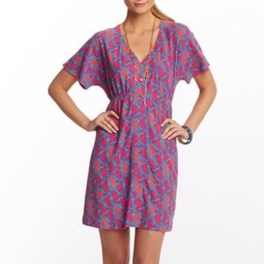 Lily Pulitzer “Hold Your Horses” Meg dress